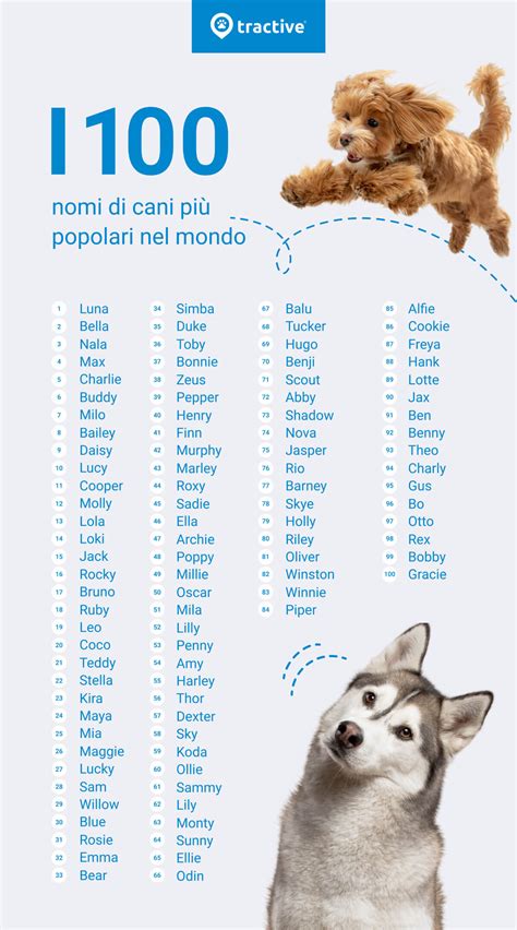 significato di pet.
